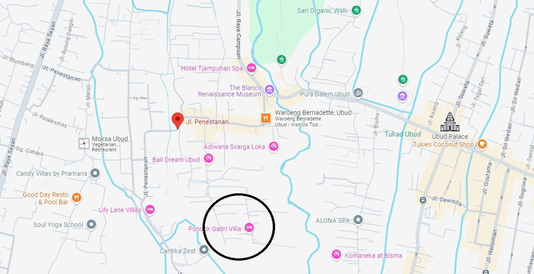 Ubud property for sale
