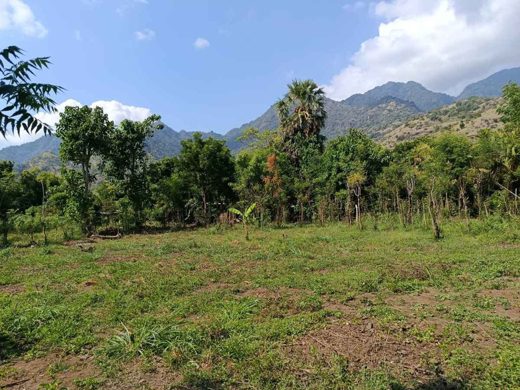 North Bali land for sale