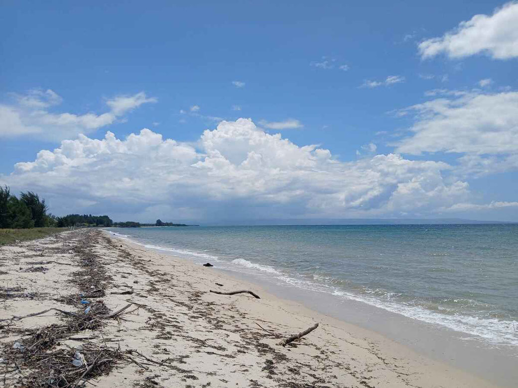 Sumba land for sale