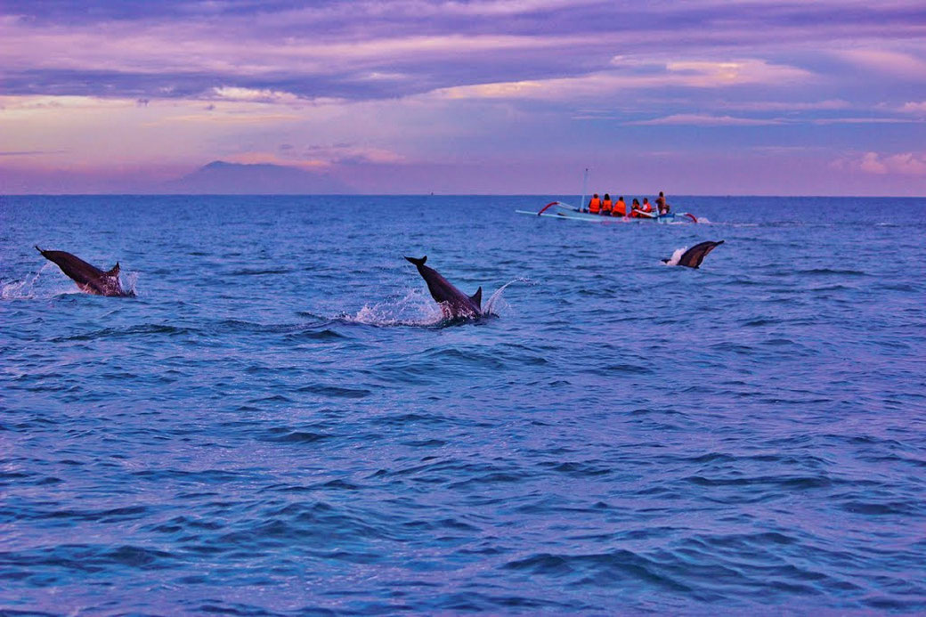 Dolphin watching in Lovina, Bululeng, Bali