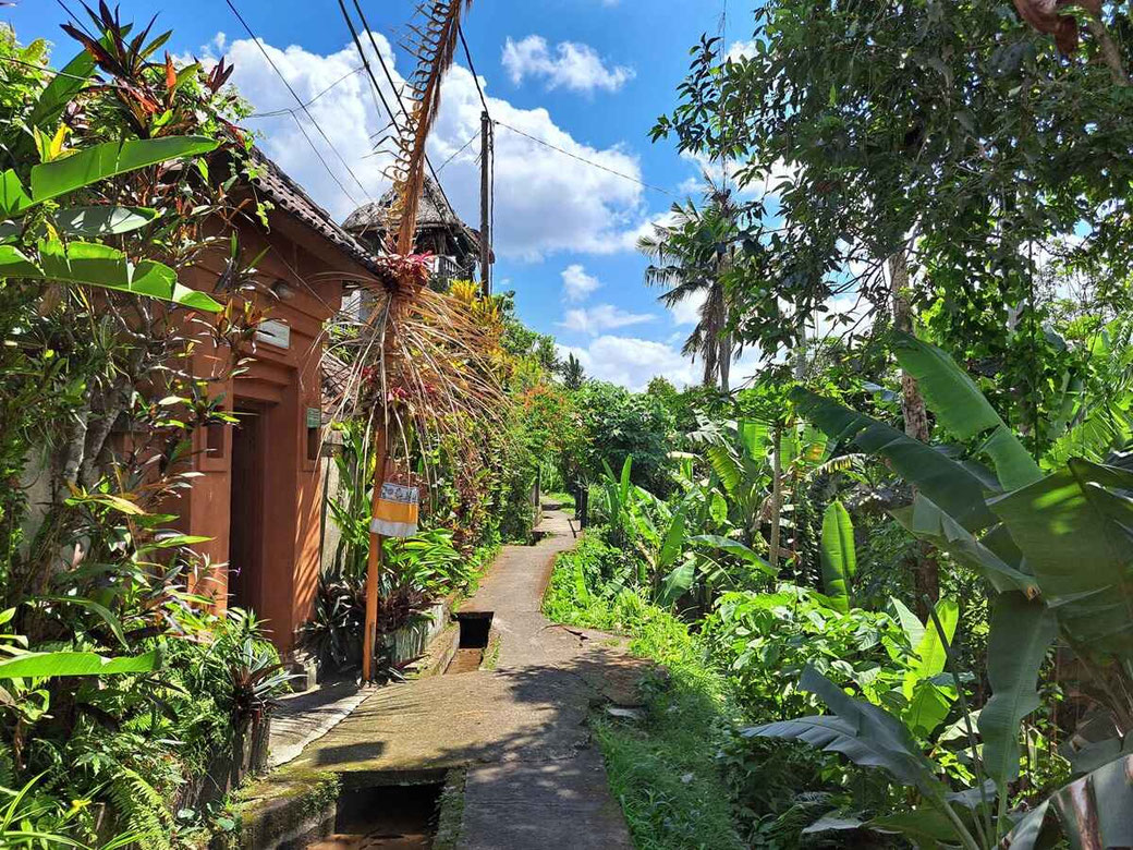 El Bosque Sagrado de los Monos en Ubud