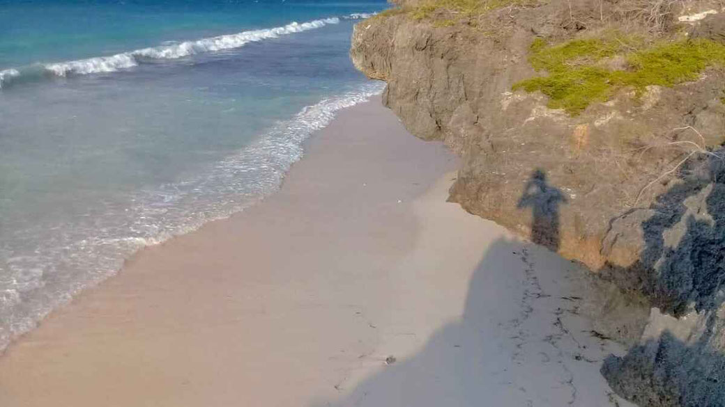 Dijual tanah di Sumba Barat