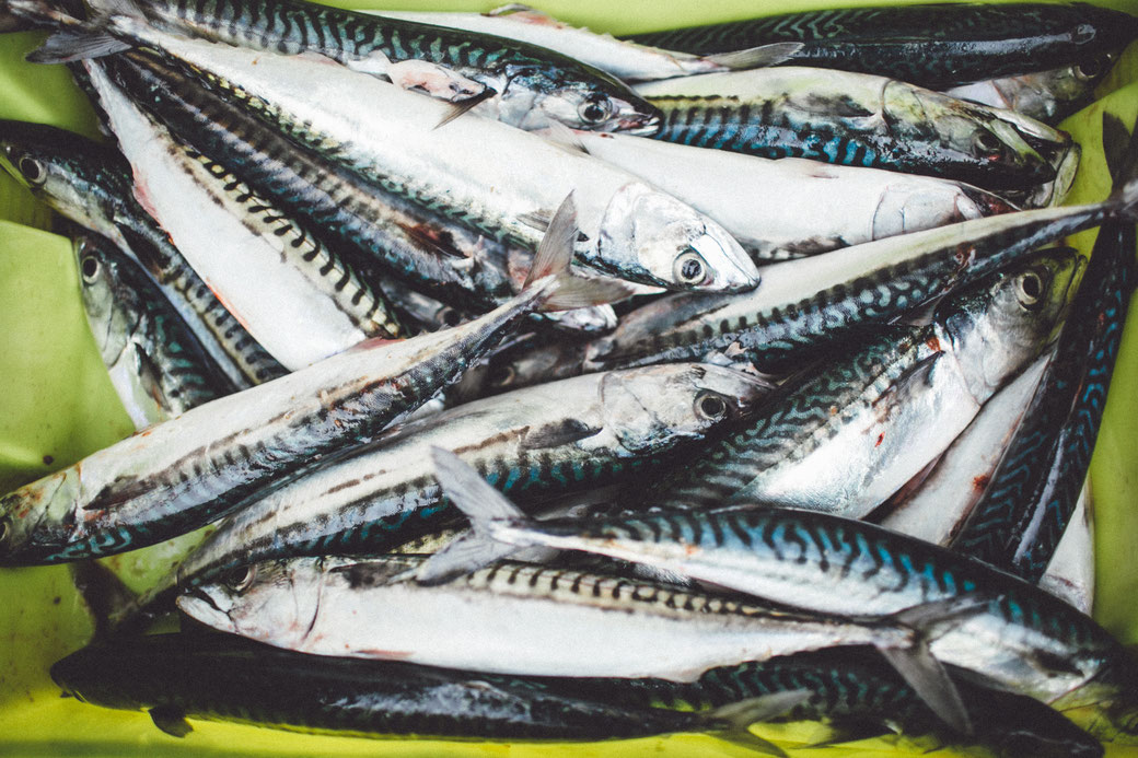 recetas de pìcoteo