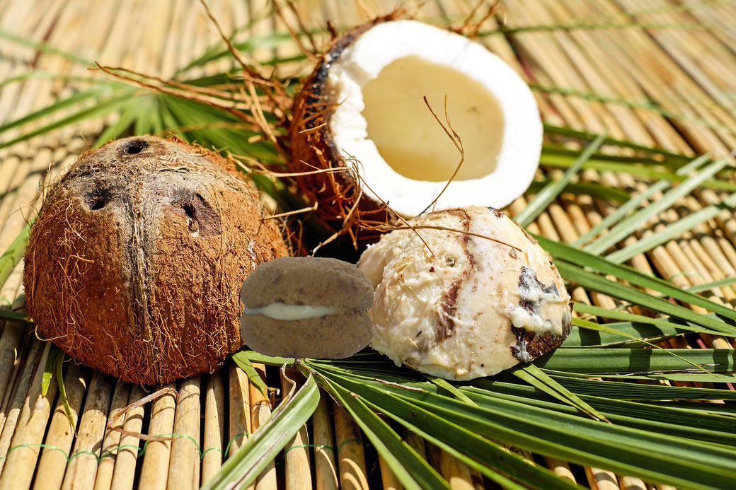 Baci di Dama al Cocco 1