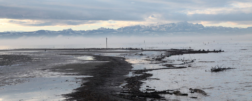 Rotachmündung - Foto: Kersting
