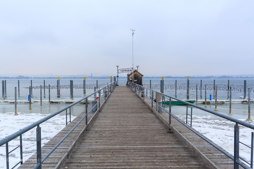 Bootshafen Iznang im Januar 2017