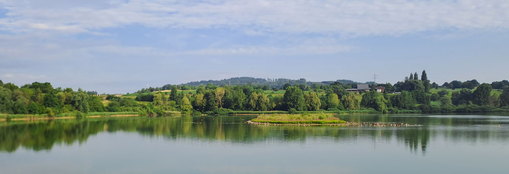 Überlinger Neuweiher