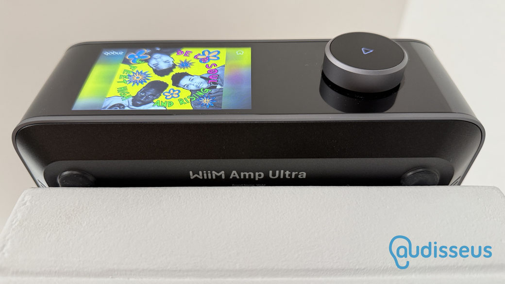 WiiM Amp Ultra - Test des Streaming-Verstärkers auf www.audisseus.de - Foto: Fritz I. Schwertfeger