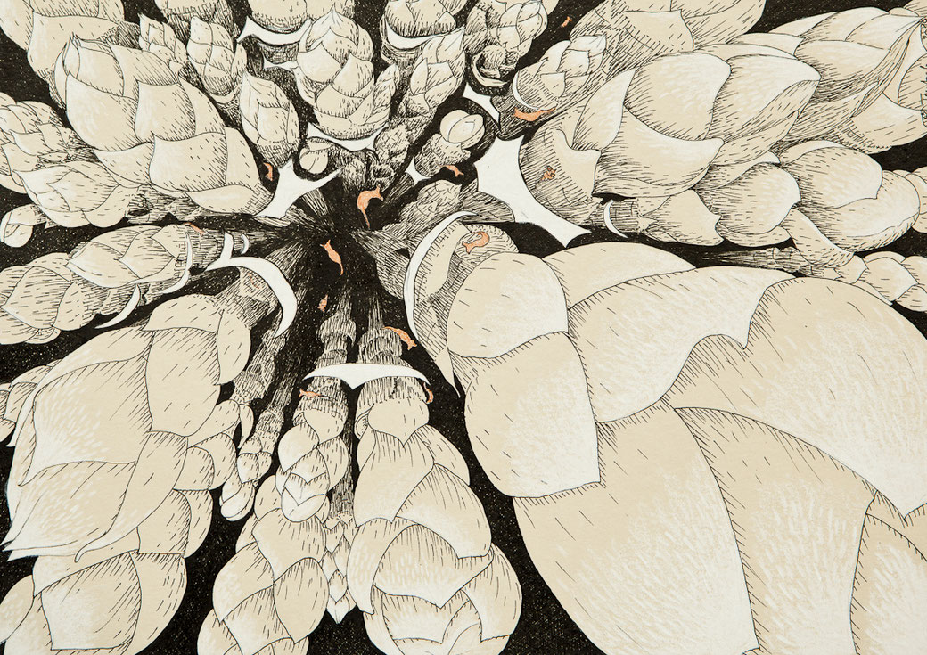 Bryum argenteum, 2019, Tusche und Buntstift auf Papier, 14,8 x 21 cm