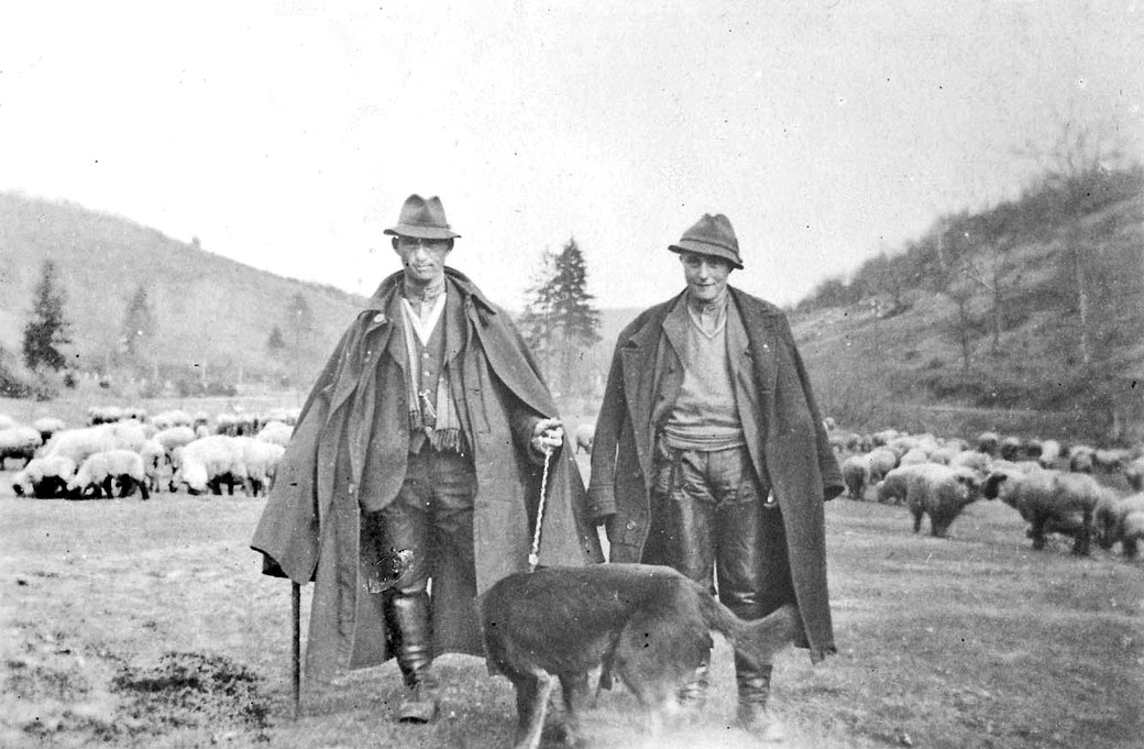 Der junge Schäfer Hubert Kotthoff (rechts) zusammen mit Schäfermeister Anton Gerke unterwegs mit ihren Herden. 