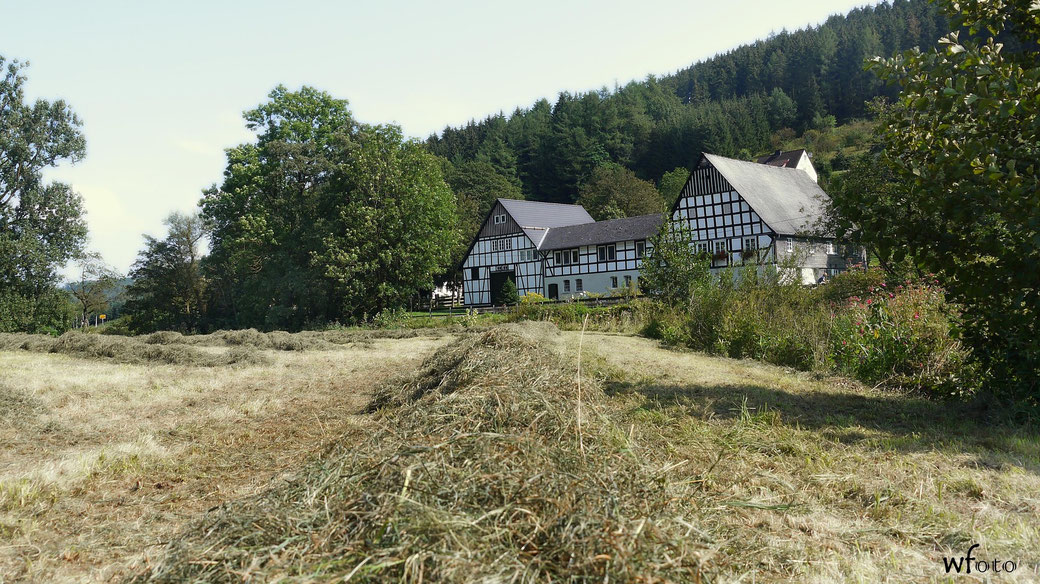 Heuernte im Dorf: Im Hintergrund Feldmanns Hof wie er damals war (Foto um 2010)