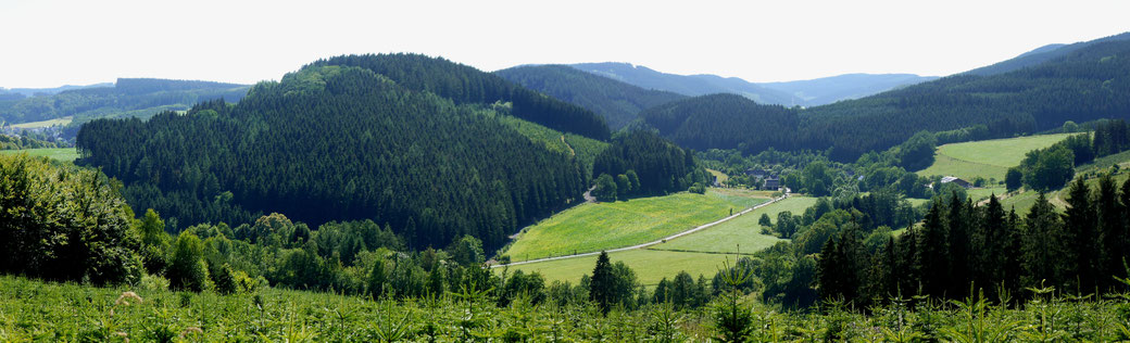 Panorama: Sallinghausen im unteren Salweytal gelegen. Links der Rehenberg (früher Remberg genannt), rechts der Henneberg als Teil der Homert. 