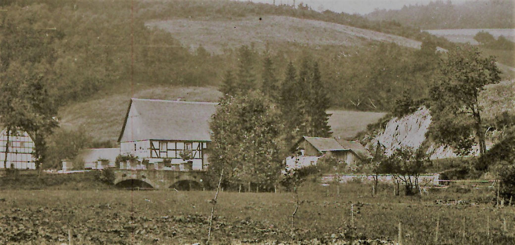Bildausschnitt vom Foto um 1900: Müllers Wohnhaus mit 1868 errichtetem Stall. Daneben die "Steinkuhle" und späterer Garten, 1905 vom Schulte gekauft