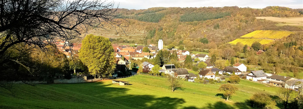 Rehborn am Glan im Herbst 2017 von Osten aus gesehen.