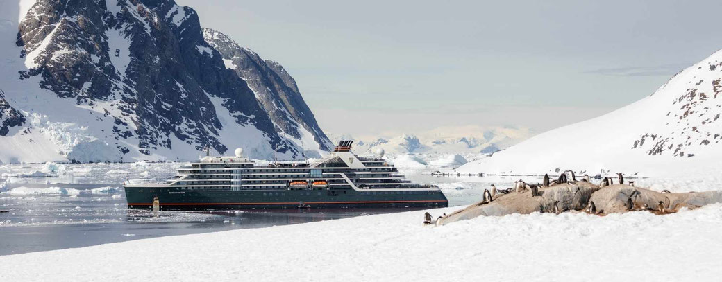Seabourn Venture in der Antarktis im Meer mit Eisschollen und Pinguinen