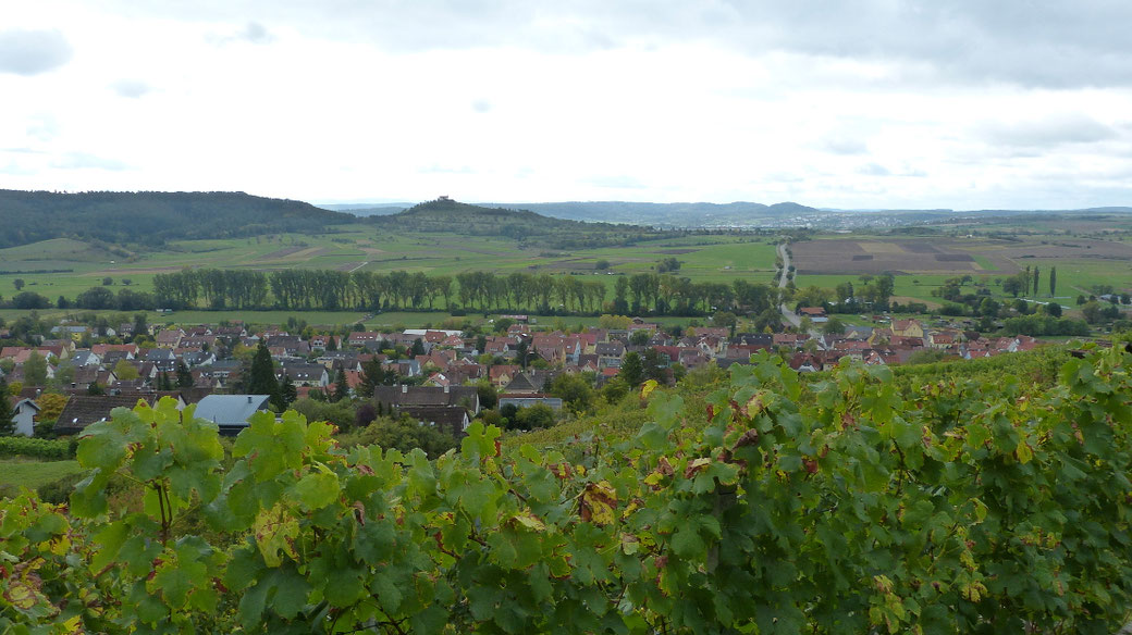 Blick über Unterjesingen zur Wurmlinger Kapelle - 2019