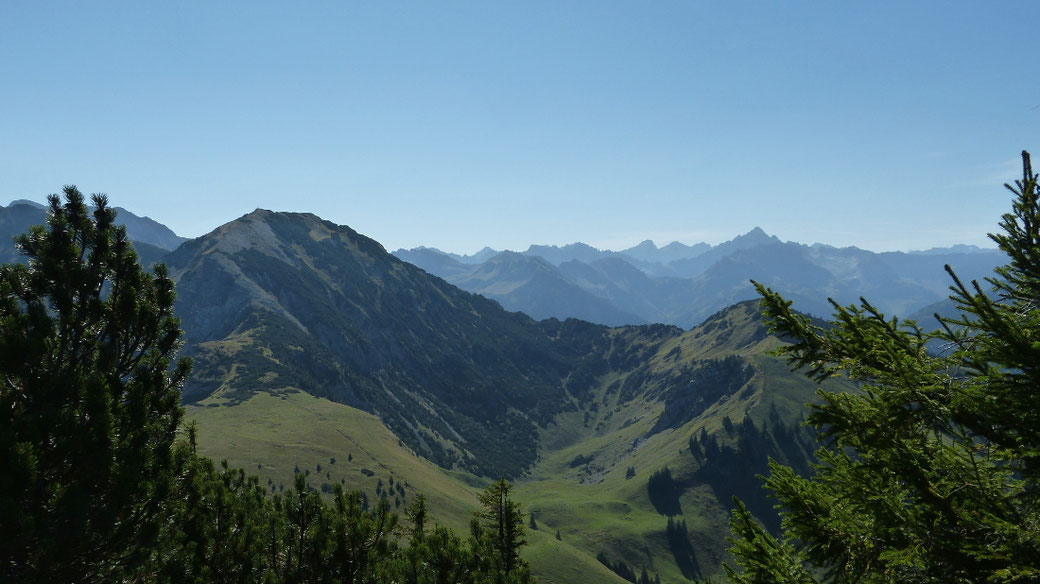 Blick zum entfernten Hochvogel, links der Bschießer
