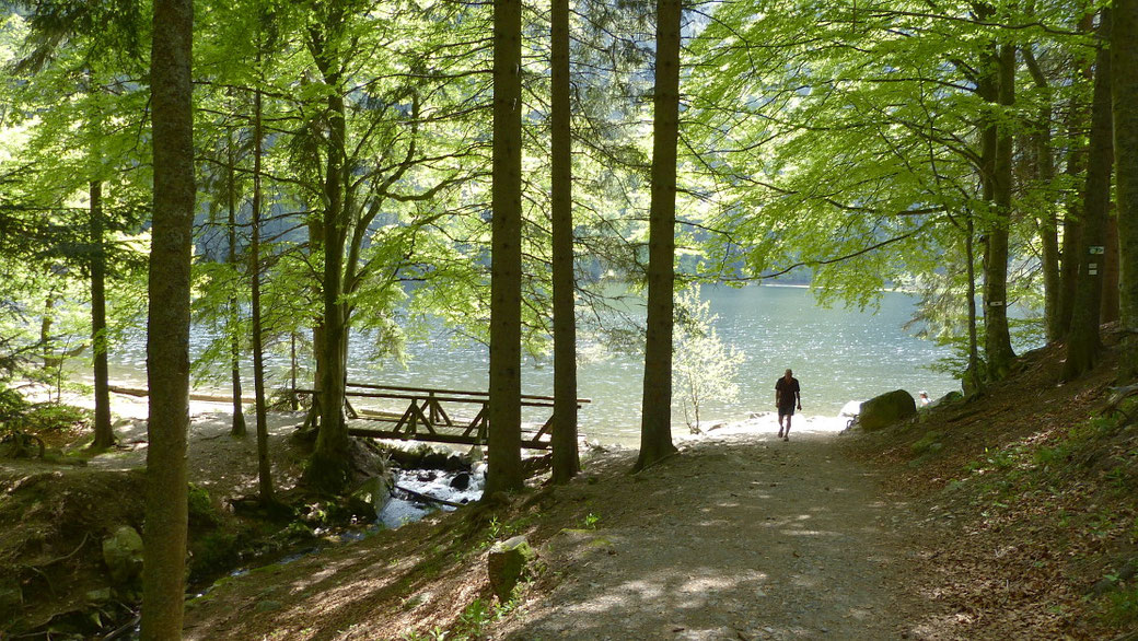 Wir kommen am Feldsee an