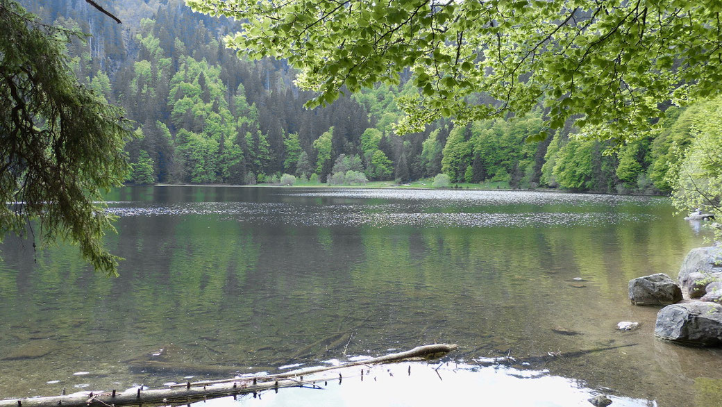 Feldsee