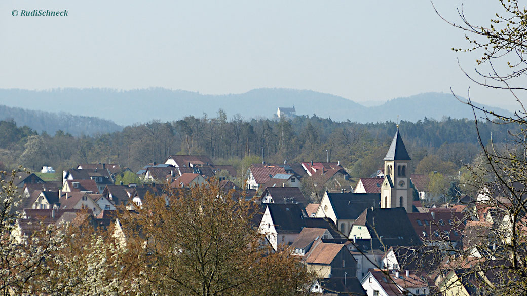 Im Hintergrund die Wurmlinger Kapelle (2020)
