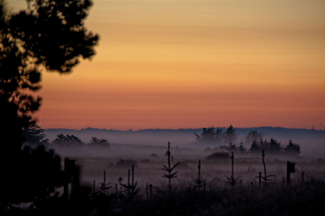 Ein Morgen im September (Jammerbucht, Dänemark)