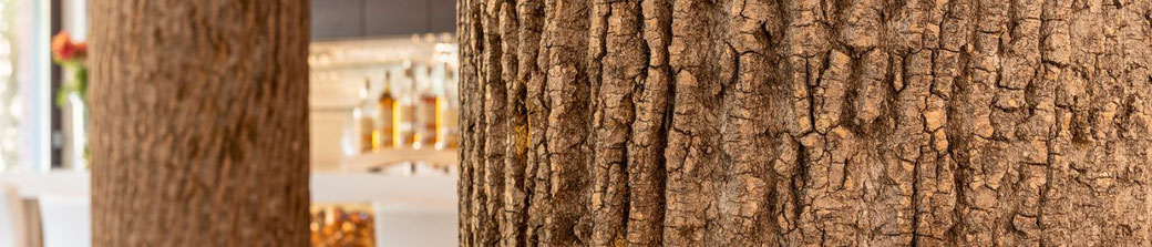 Wandgestaltung mit Baumrinden vom Pappelbaum