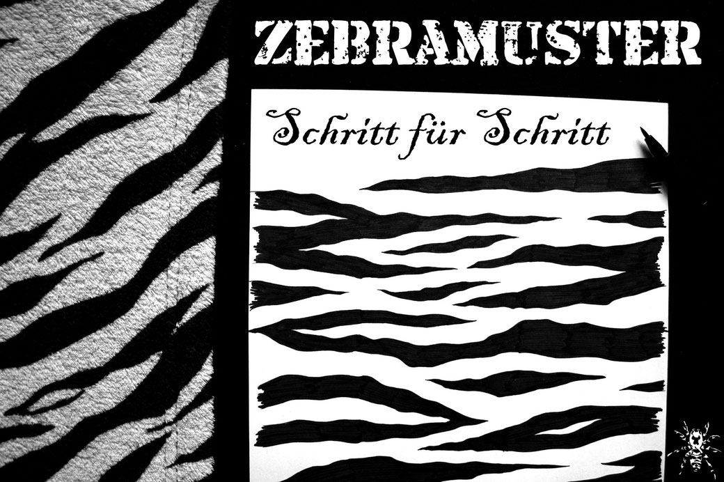 Zebramuster malen Schritt für Schritt - Zebraspider DIY Blog