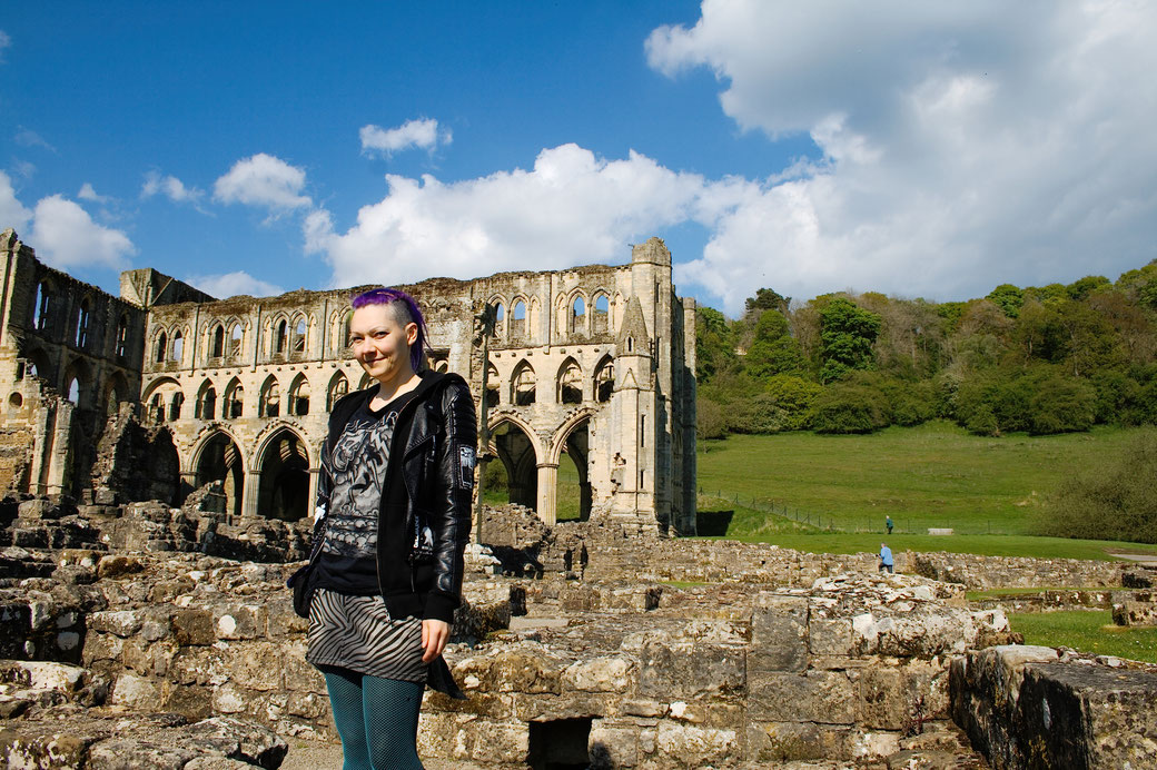 Rievaulx Abbey - Ruinen Fotos Teil 3 - Zebraspider DIY Anti-Fashion Blog