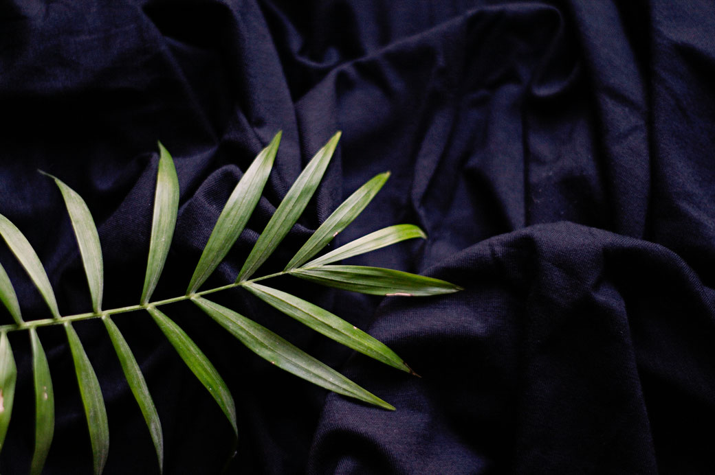 5 Reasons bamboo clothing is not as eco-friendly as you think - don't fall for the greenwashing - Zebraspider Eco Anti-Fashion Blog