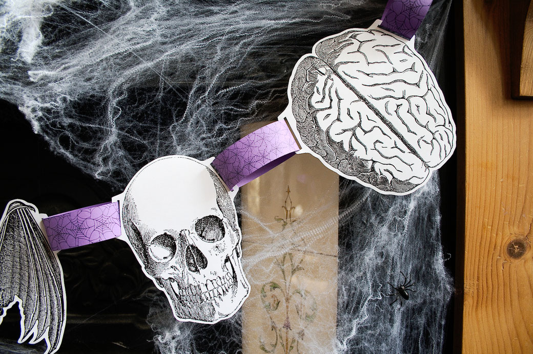 Halloween DIYs Part 2 - paper garland skull, brain and bat anatomical drawings - Zebraspider Eco Anti-Fashion