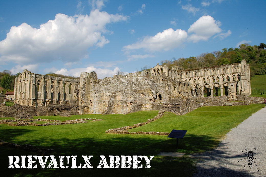 Rievaulx Abbey - Ruinen Fotos Teil 3 - Zebraspider DIY Anti-Fashion Blog