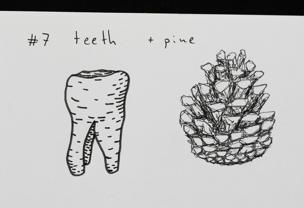 How Inktober 2019 went so far - 7 teeth (tooth) and pine cone - Zebraspider DIY Anti-Fashion Blog