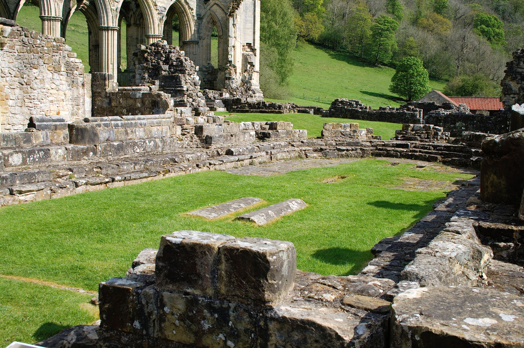 Rievaulx Abbey - Ruinen Fotos Teil 3 - Zebraspider DIY Anti-Fashion Blog