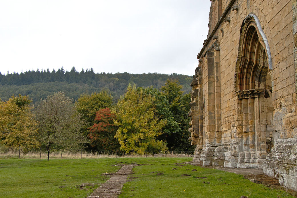 Autumn and Ruins photo post - Byland Abby and trees - Zebraspider Eco Anti-Fashion