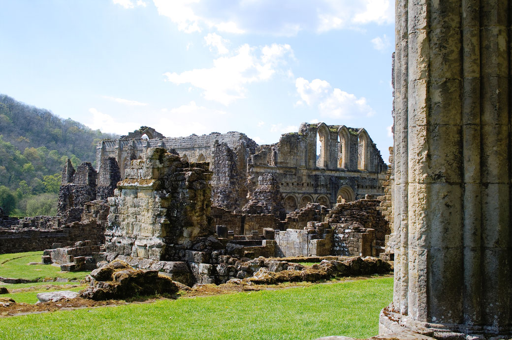 Rievaulx Abbey - Ruinen Fotos Teil 3 - Zebraspider DIY Anti-Fashion Blog