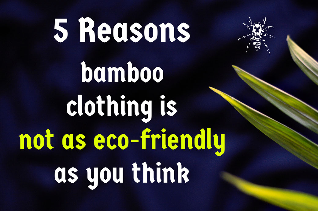 5 Reasons bamboo clothing is not as eco-friendly as you think - Zebraspider Eco Anti-Fashion Blog