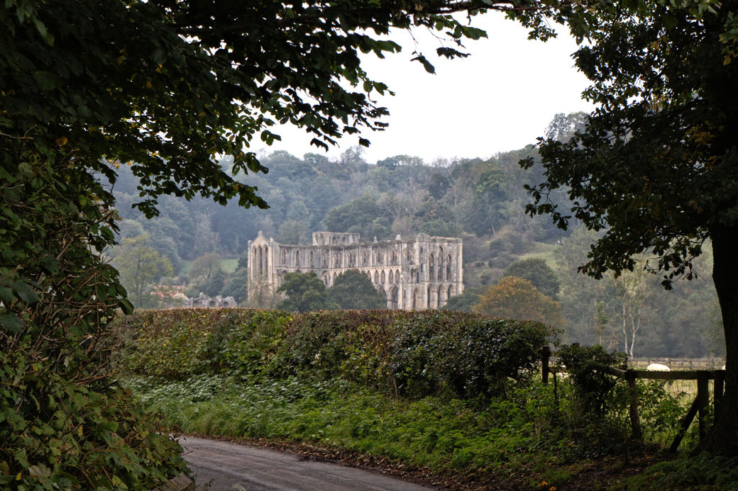 Autumn and Ruins photo post - Rievaulx Abbey view through the trees - Zebraspider Eco Anti-Fashion