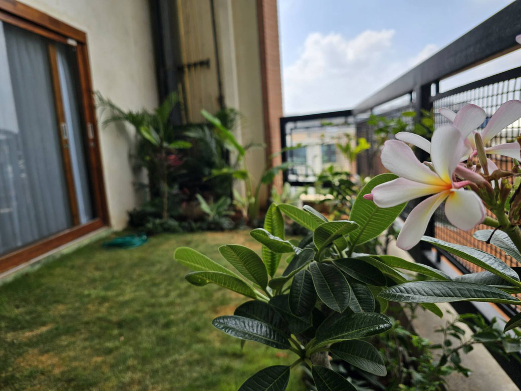 Our balcony