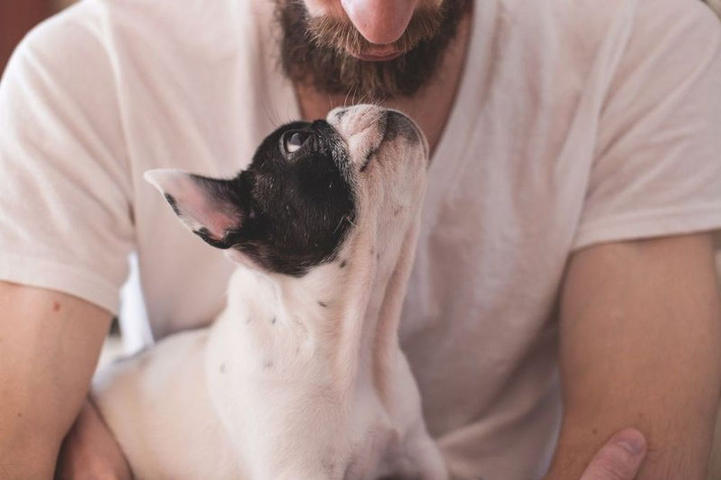 Mann und Hund zärtliche Verbindung