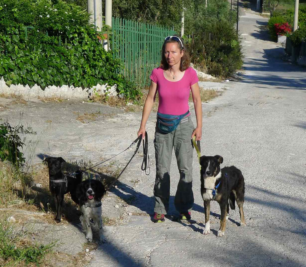 Frau mit drei Hunden an der Leine