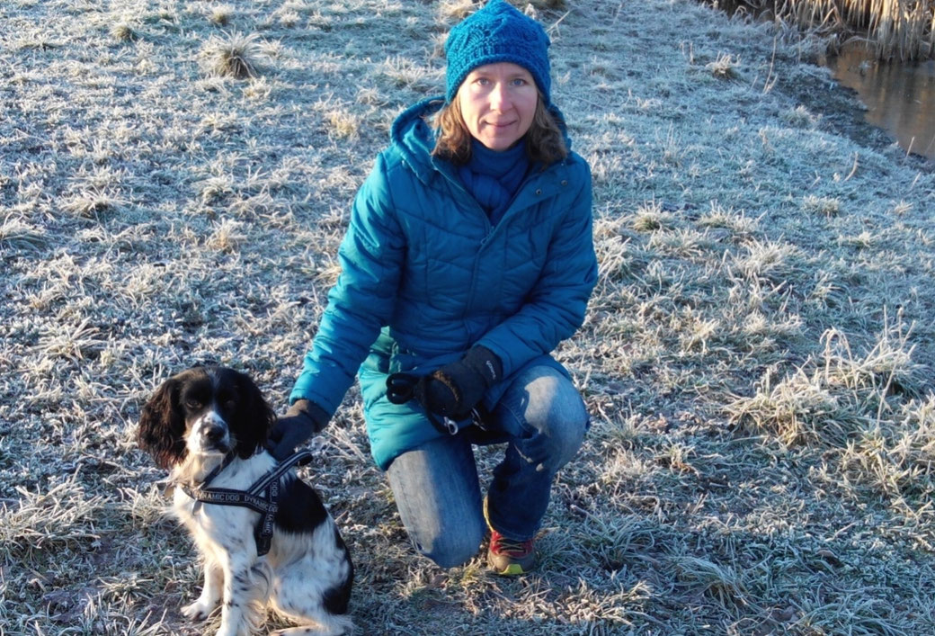 Hunde aus dem Ausland, schwierige Hunde, Problemhunde