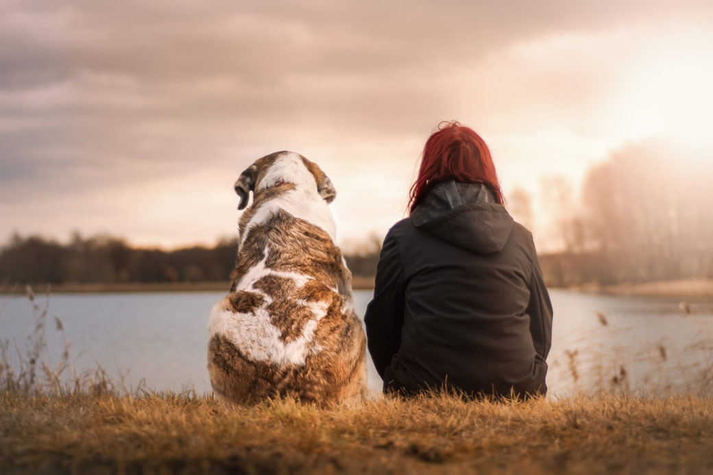 Frau mit Hund sitzt am See