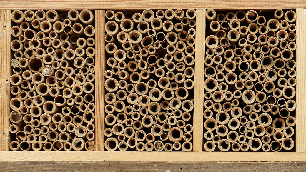 Wildbienenhotel
