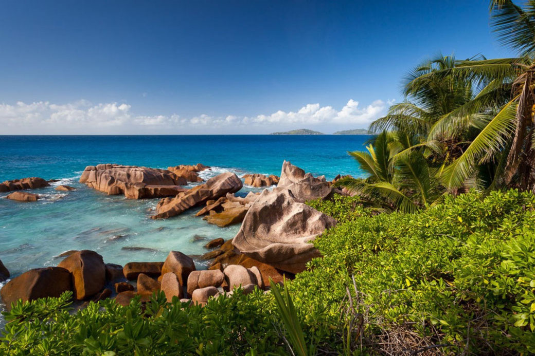 Connessioni Culturali: Seychelles