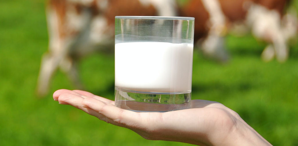 leche de vaca