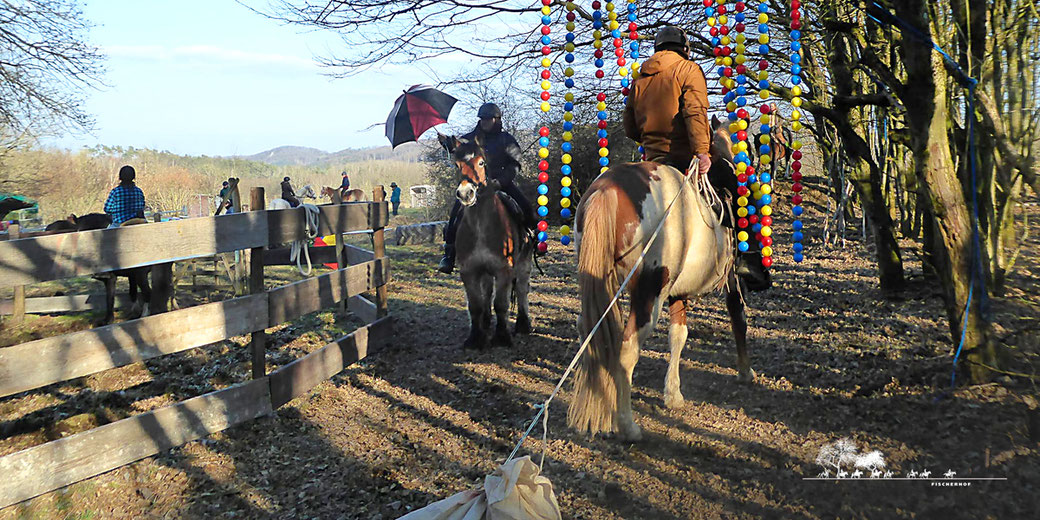 Trailparcours Fischerhof Wanderreiten