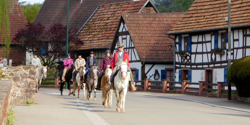 Fischerhof Wanderreiten, RossFoto Dana Krimmling, Übergabe Herbert Fischer an Jenny Spitzhorn und Dominik Buttgereit