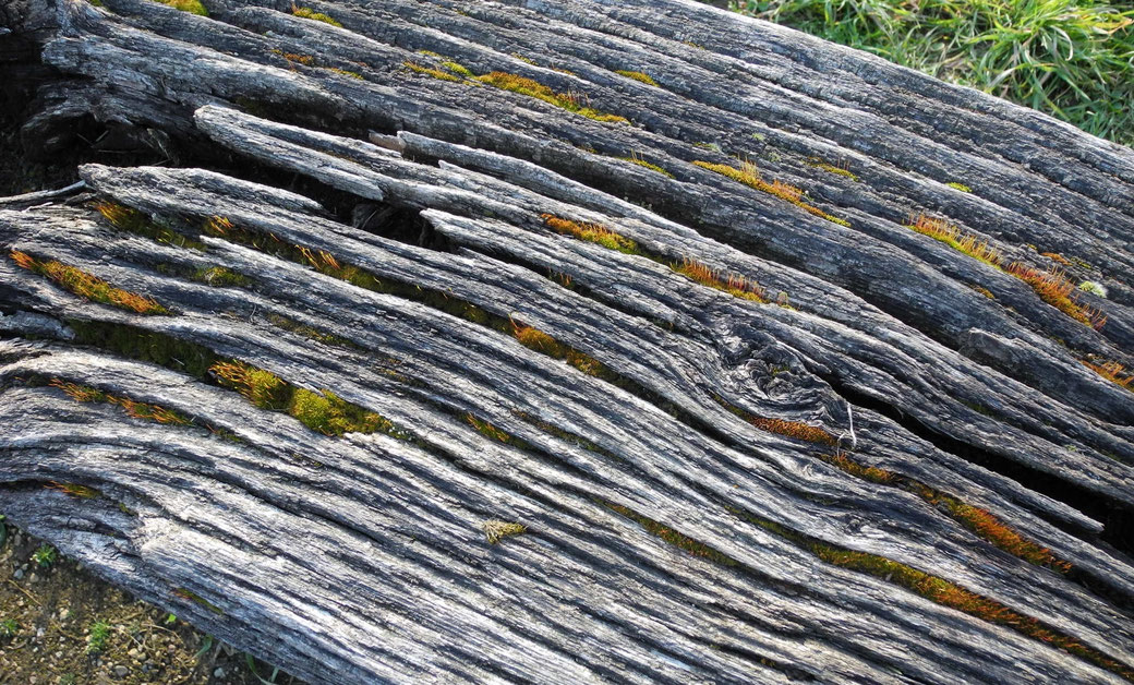 Trauerredner Bad Homburg, Redner, Friedrichsdorf, Prediger, Königstein im Taunus, Trauerredner, Kronberg im Taunus, Neu-Anspach, Oberursel, Steinbach und Usingen, Trauerrede, Beerdigung