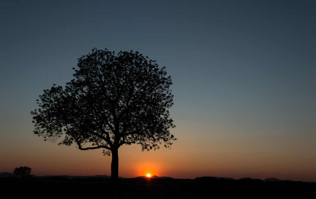 Main-Taunus-Kreis  Bad Soden, Eppstein, Eschborn, Trauerredner Flörsheim, Hattersheim, Hochheim, Hofheim am Main, Bestattungsredner Kelkheim, Schwalbach, Kriftel, Liederbach freie Redner Sulzbach