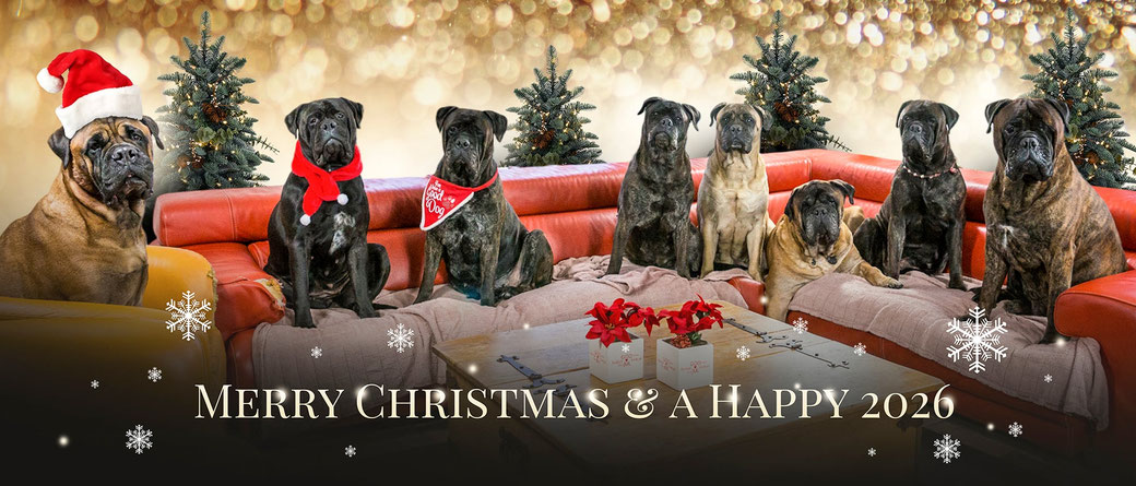 foto dec. 2025 vlnr. Caro, Mini, Doris, Blacky, Summer, Neeltje, Viva en Sjors